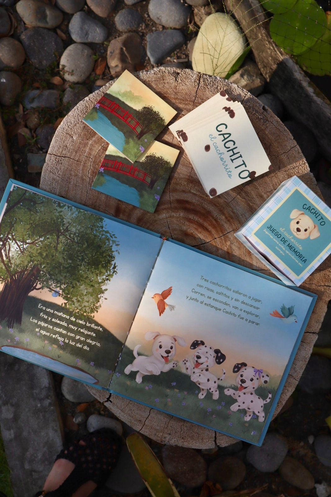 Libro Cachito el Cachorrito