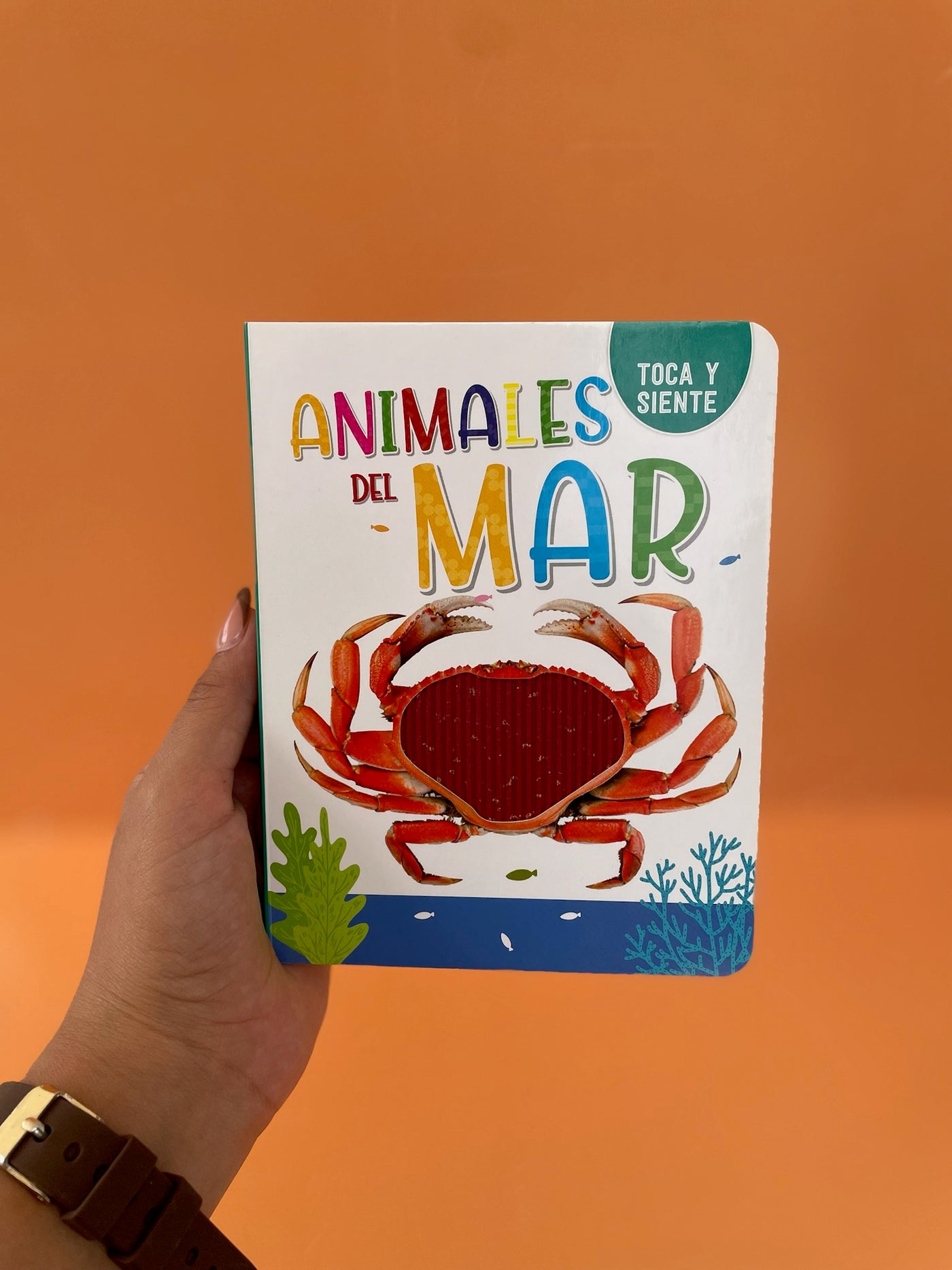 Libro Con Texturas Animales del Mar