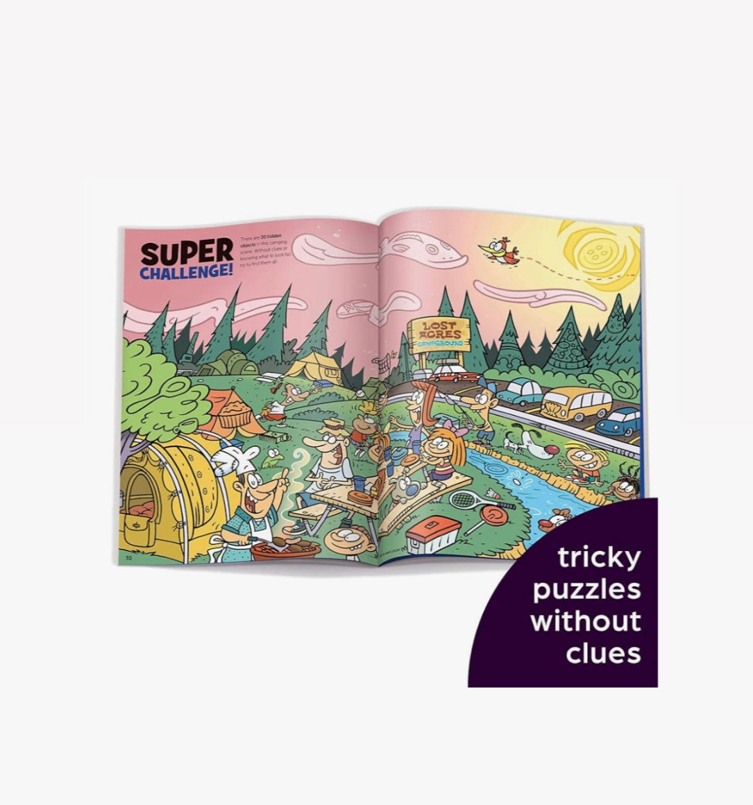 Hidden Pictures Book
