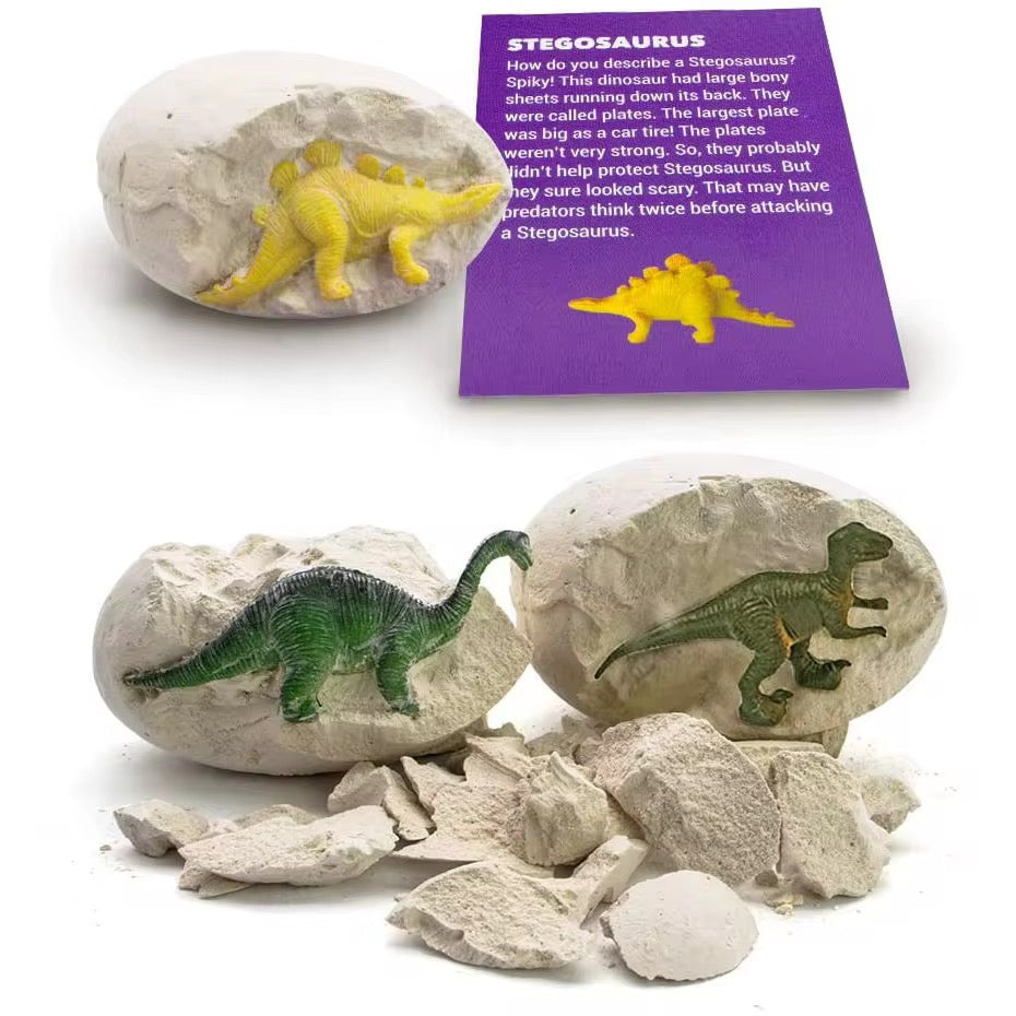 Dinosaur Egg Dig Kit