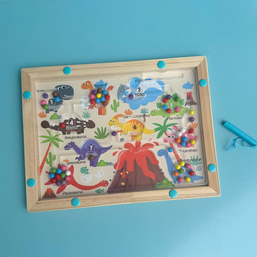 Magnetic Maze