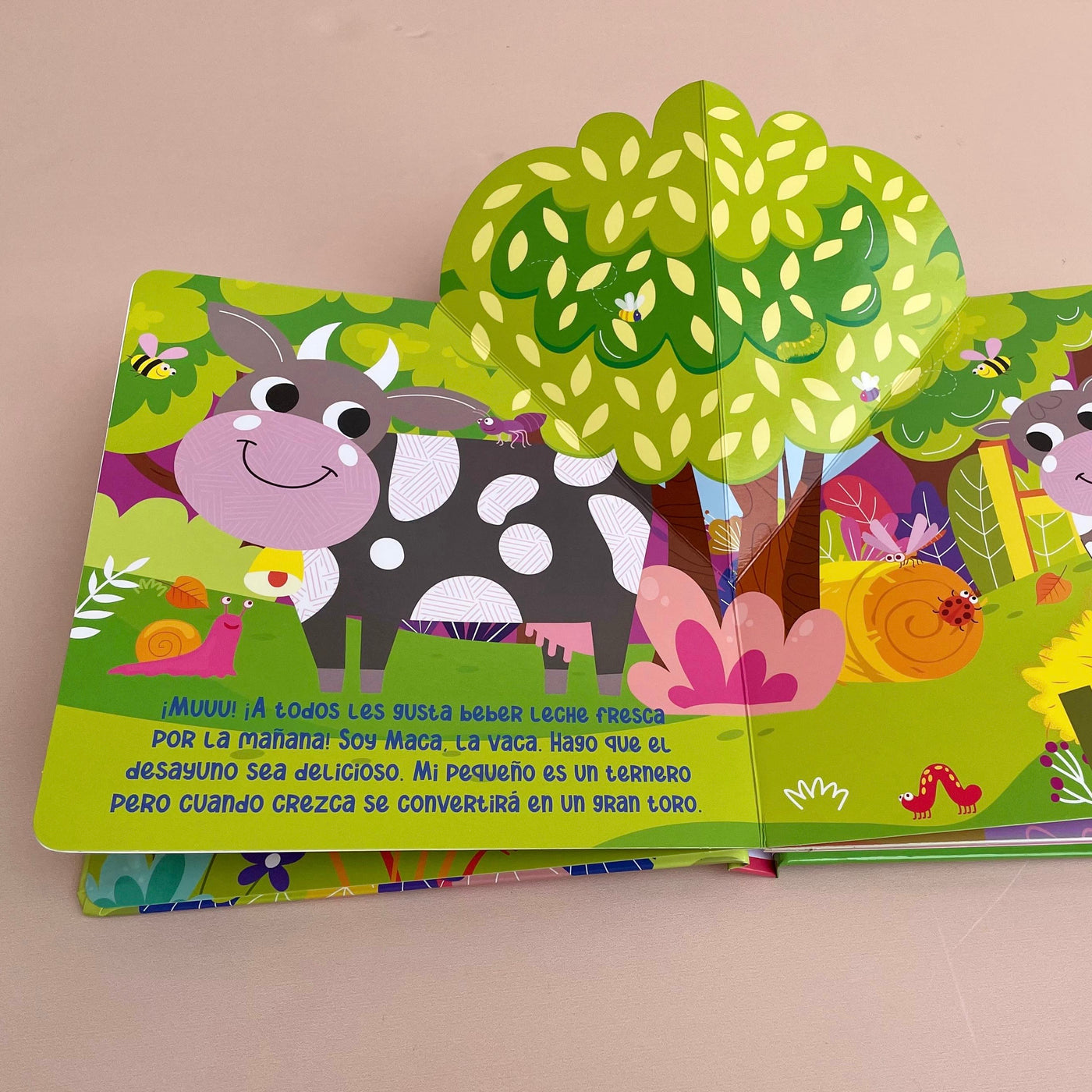 Libro Pop-Up