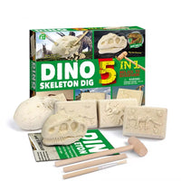 5 In 1 Dino Dig Kit