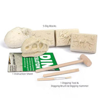 5 In 1 Dino Dig Kit