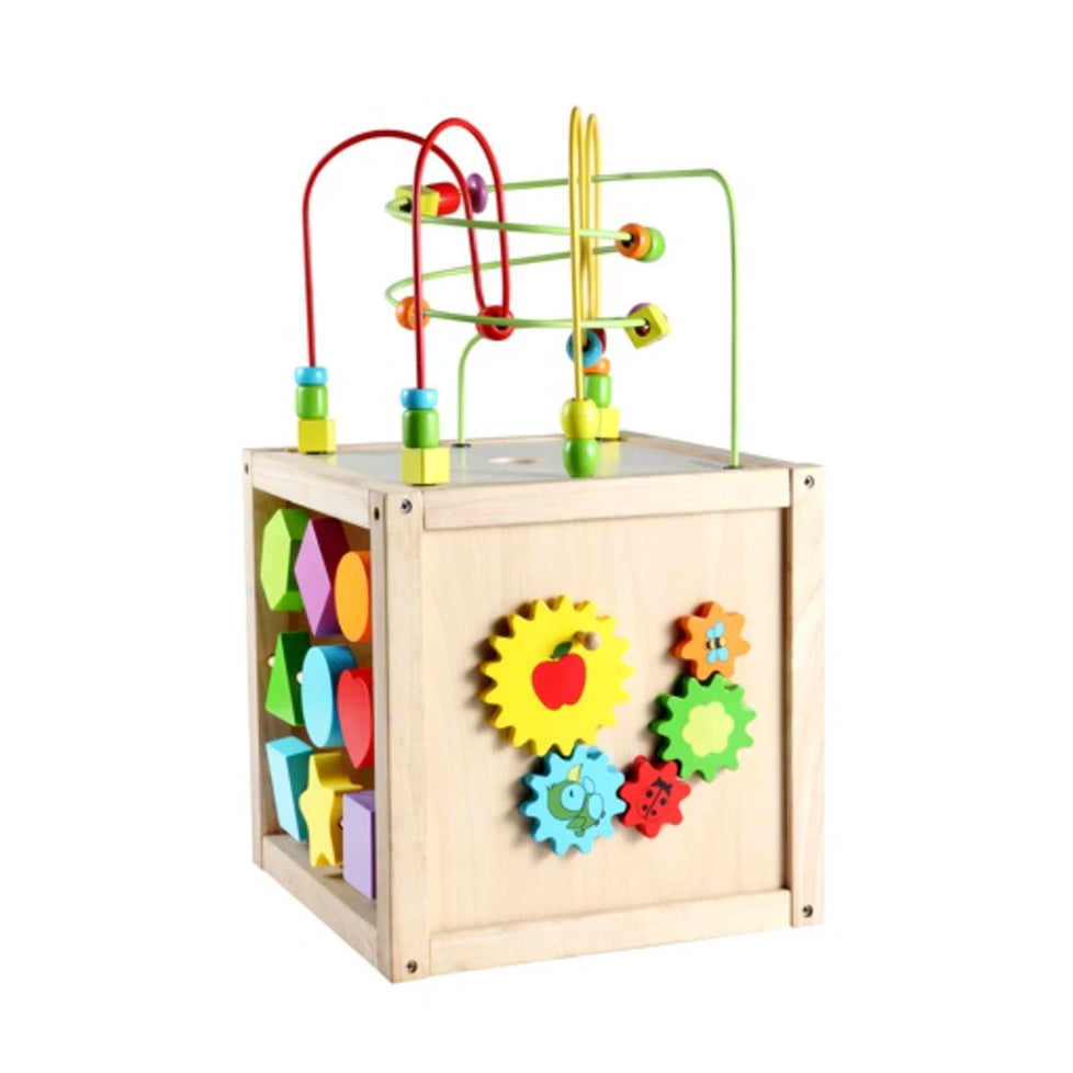 Multi-activity Cube